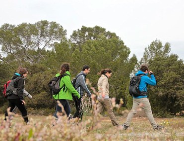 Wanderung: Es Broll (Level = 2)