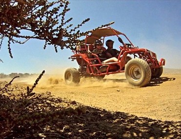 Quad und Buggy