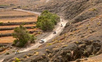 Quad & Buggy Safari Tour in Costa Calma 3 Std.