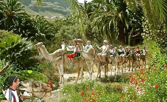 Kamel Safari mit Tapas, Aufführung und Transfer