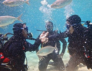 Gerätetauchen Entdecken im Lanzarote