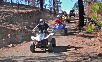 Quad Safari: Wald Explorer 3 Std.