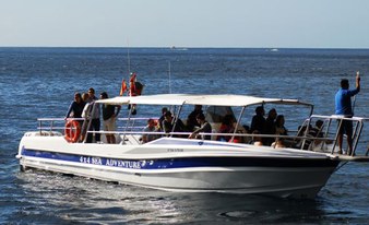 Küste von Los Gigantes (Schnellboot) Gladiator U - 1 Stunde