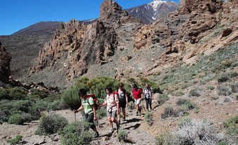 Teide auf den Spuren Humboldts und La Orotava