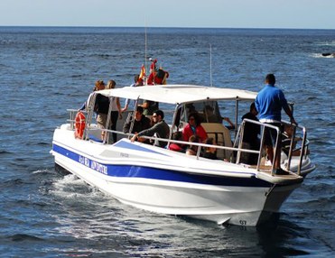 Taxiboot Masca --> Los Gigantes