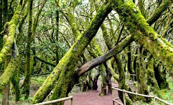La Gomera Bus Tour (Abholung Süden)