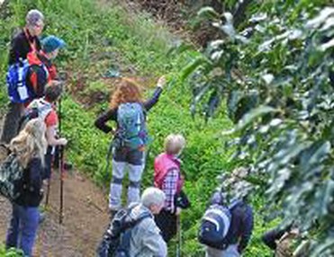 Wandern in Teneriffa, Anaga Gebirge: Chinamada