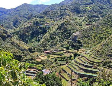 Wandern in Teneriffa, Anaga Gebirge:  Die Handelsroute El Batan