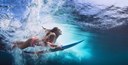 amazing-surfing.jpg