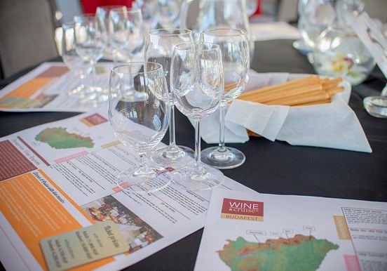afternoon wine tasting in Budapest cruise