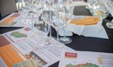 afternoon wine tasting in Budapest cruise