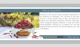 Free souvenier pack with Budapest ProgramPass.jpg
