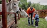 Animal farms Godollo tour from Budapest.jpg