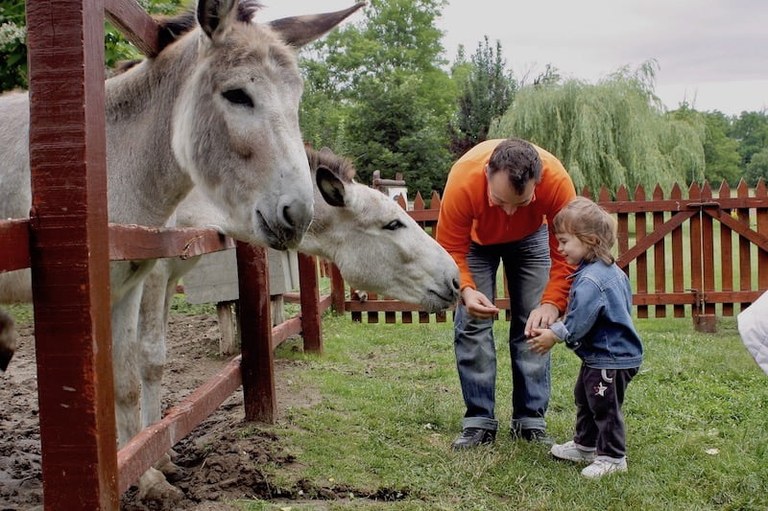 Animal farms Godollo tour from Budapest.jpg