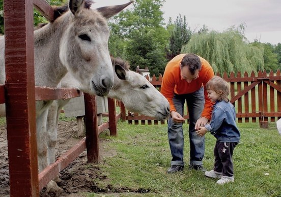Animal farms Godollo tour from Budapest.jpg