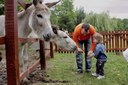 Animal farms Godollo tour from Budapest.jpg
