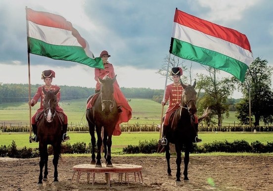 csikos horseshow Godollo tour from Budapest.jpg