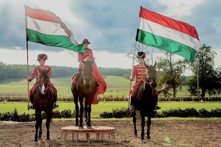 csikos horseshow Godollo tour from Budapest.jpg