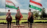 csikos horseshow Godollo tour from Budapest.jpg
