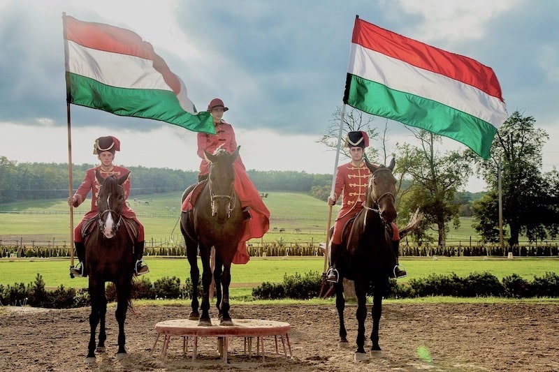 csikos horseshow Godollo tour from Budapest.jpg