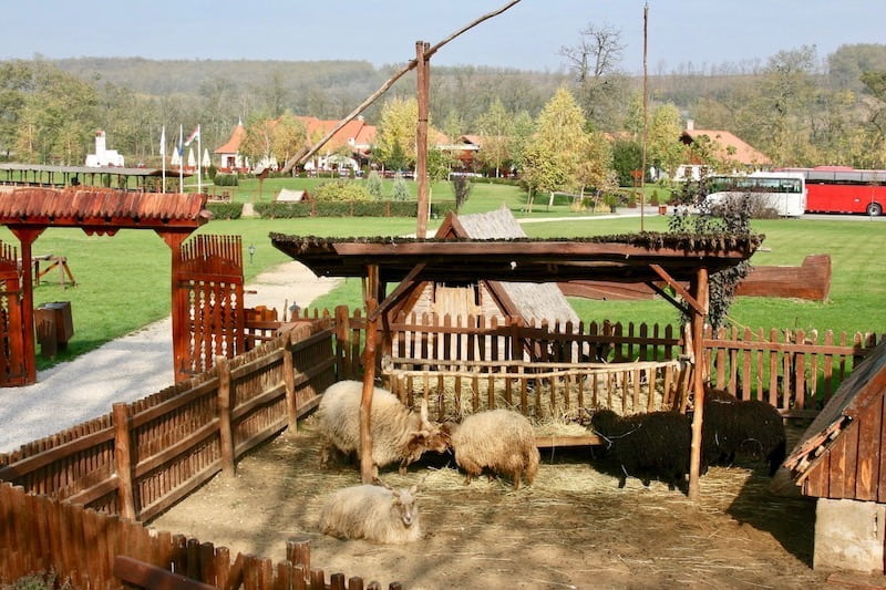 Godollo guided tour animal stable.jpg