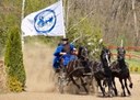 Godollo tour with csikos horseshow.jpg