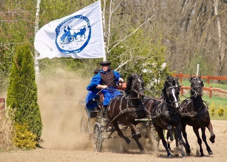 Godollo tour with csikos horseshow.jpg