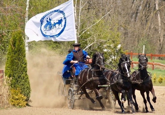 Godollo tour with csikos horseshow.jpg