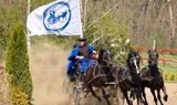 Godollo tour with csikos horseshow.jpg