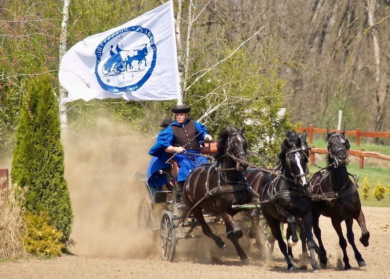 Godollo tour with csikos horseshow.jpg