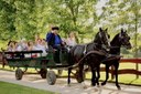 Godollo tour with horse carriage ride.jpg