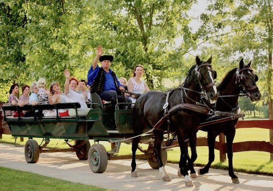 Godollo tour with horse carriage ride.jpg
