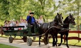Godollo tour with horse carriage ride.jpg