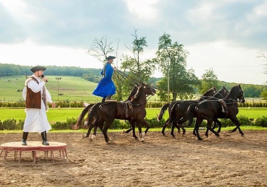 Hungarian traditional horse show Godollo tour.jpg
