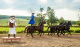 Hungarian traditional horse show Godollo tour.jpg
