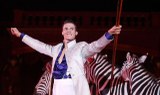 Budapest circus zebra show .jpg