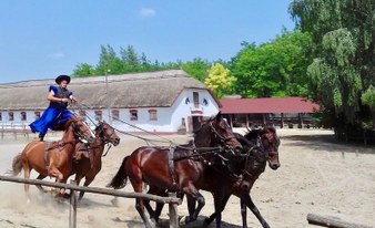 Kecskemét and Lajosmizse Tour with Horse Show and Lunch