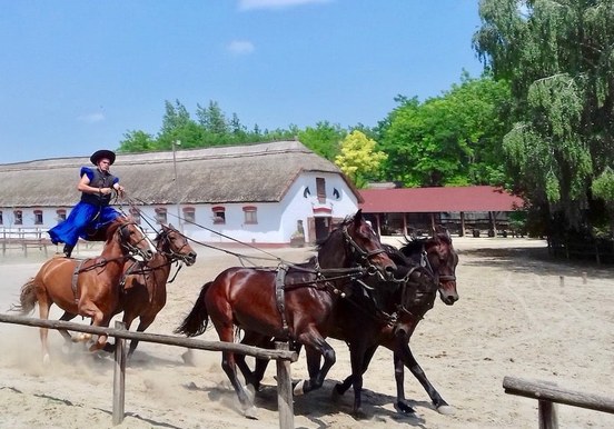 Lajosmizse tour with Hungarian horsemen show-min.jpg