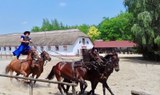 Lajosmizse tour with Hungarian horsemen show-min.jpg