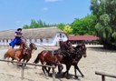 Lajosmizse tour with Hungarian horsemen show-min.jpg