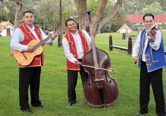 Traditional Hungarian folk performance-min.jpg