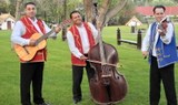 Traditional Hungarian folk performance-min.jpg