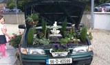 See botanic gardens using Freedom Ticket