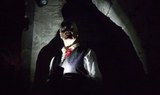 experience Dublin's dark history thru Ghostbus Tour