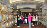 wine cellar in Dolianova