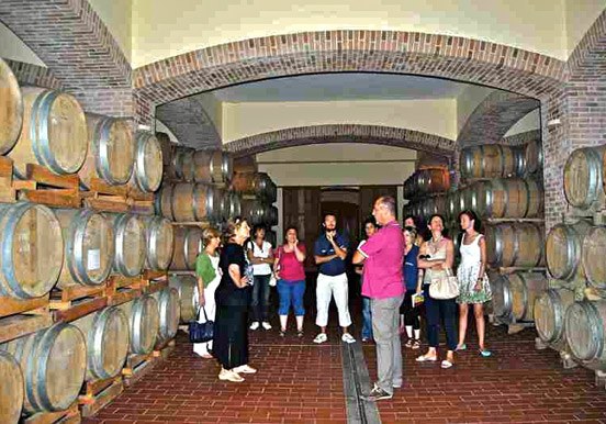 wine cellar in Dolianova
