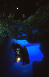 Dive in underwater caverns in Gozo.jpg