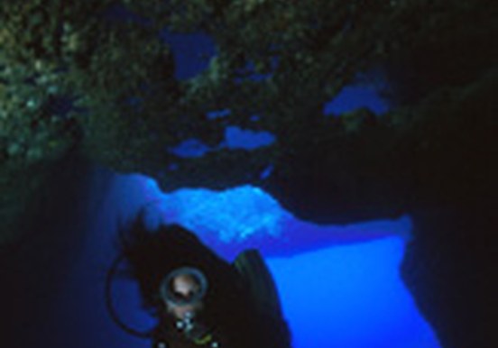 Dive in underwater caverns in Gozo.jpg