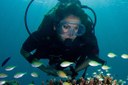Gozo diving.jpg