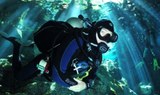 Amazing diving in Gozo island, Malta.jpg